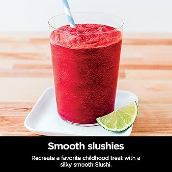 Ninja Ice Cream & Frozen Treat Maker, 11-in-1, Silver